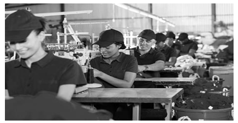 cbse sample paper class 10