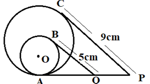 cbse sample paper class 10
