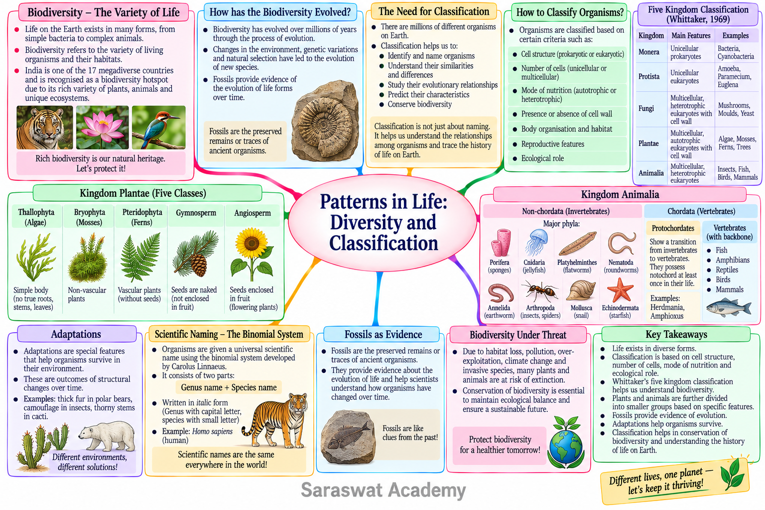 Mind map showing the key concepts of Chapter 1